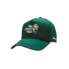 Big Green Egg Cap Since '74 -Napoleon Verkoopwinkel big green egg cap since 74